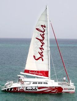 Custom Design Catamaran